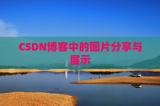 CSDN博客中的图片分享与展示